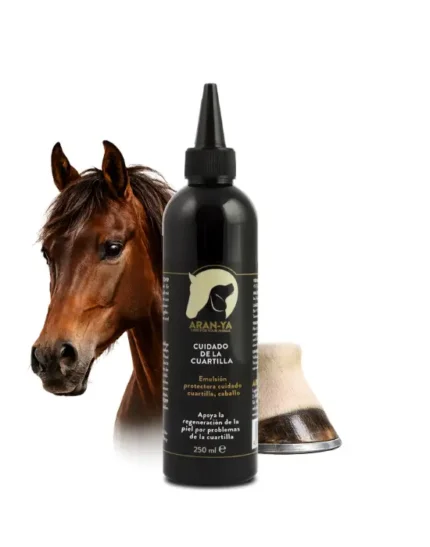 Cuidado de la cuartilla del caballo